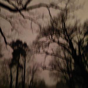 do you really think i would?