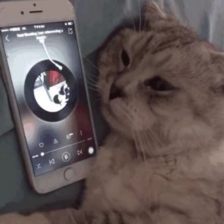 他硬是要错过你啊，宝贝