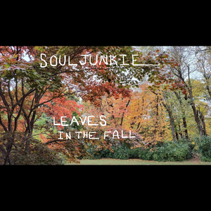 Leaves in the Fall
