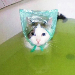 Why
