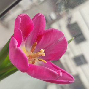 都是她(吉他原创)