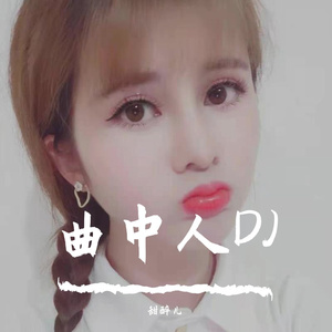 曲中人DJ