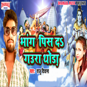Bhang Pis Da Gaura Thoda