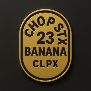 LEBRON JAMES JR JAYLEN BROWN