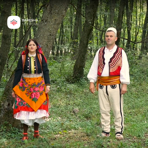 Te dalim ne bjeshke te mrizi