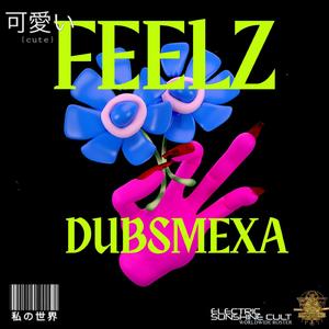 FEELZ (DUBSMEXA) [Electronic unshine Cult]