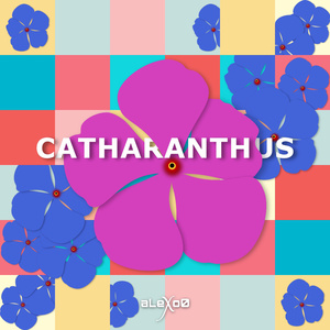 Catharanthus