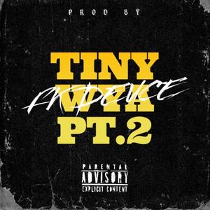 Tiny Wya Pt. 2