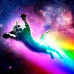 packapunched%%% (feat. newmoonnyx)