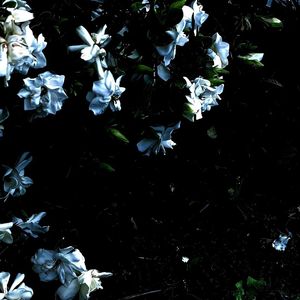 爱要坦荡荡(Live)