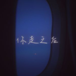 你走之后