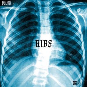 RIBS