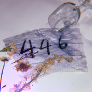 446
