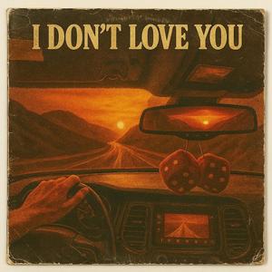 I Don't Love You