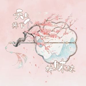 天上掉下个林妹妹