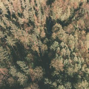 那些在我身边的人呐