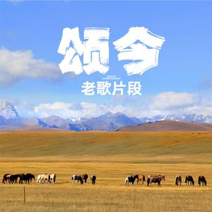 情哥去南方（清唱）