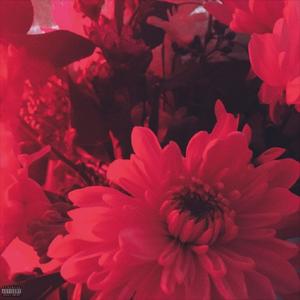 WITHOUT A DOUBT (FEAT XON & ANIC)