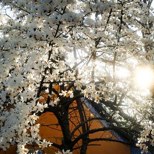 [FREE]走散 emo -liltjay- toosii