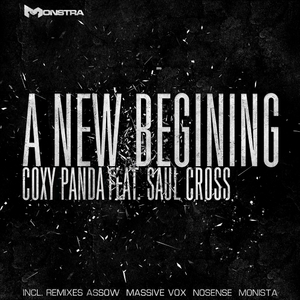 A New Begining (Monista Remix)