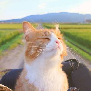 썸 탈꺼야（some）