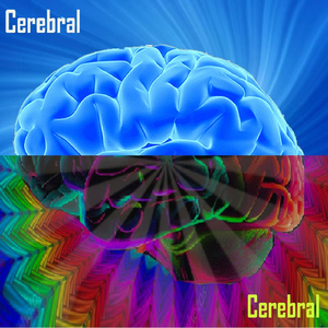Cerebral
