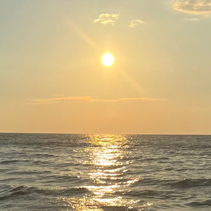 ほら顔をあけでくれよ