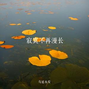 寂寞不再漫长