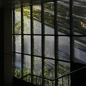 万象更新 万物复萌