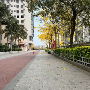 画中仙