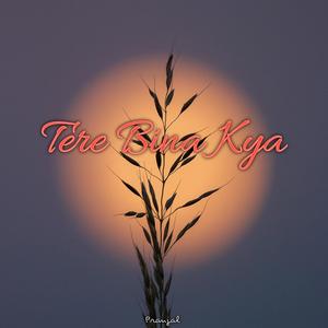 Tere Bina Kya