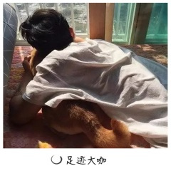 泰国神摇