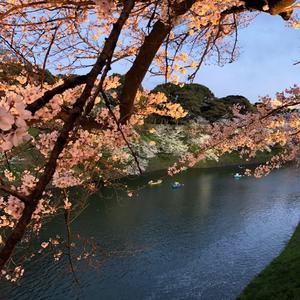 为何不选择睡午觉—高甜校园恋爱