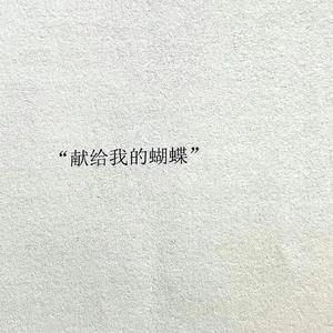 蜜蜂 demo（翻自 万玲琳）