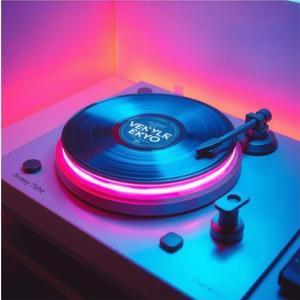 你说会陪我一辈子(动感版) 张晋博