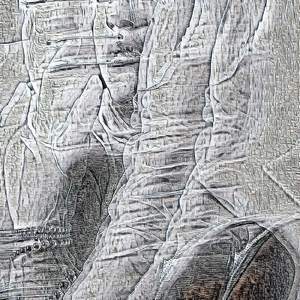 impertinent drollery