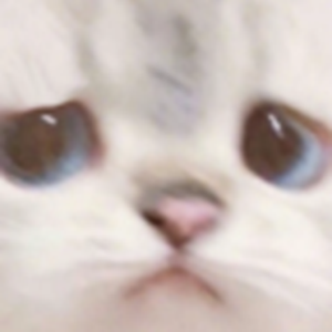 这不是爱(Prod.No Birthday)