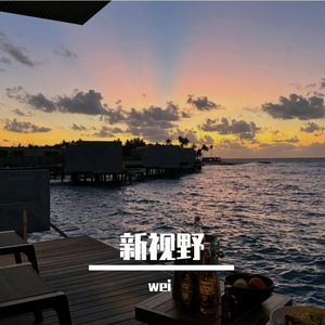 新视野