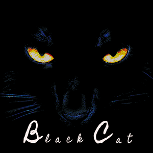 やまねこ (野猫)