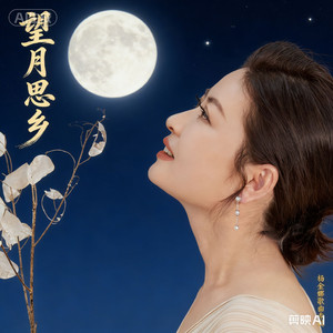 家乡的月亮
