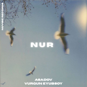 Nur