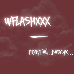 Попугай, барсук