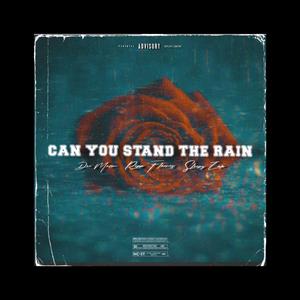 Stand The Rain (feat. Sleepy Zak & Ripp Flamez)