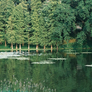 尾犯·夜雨滴空阶.wav