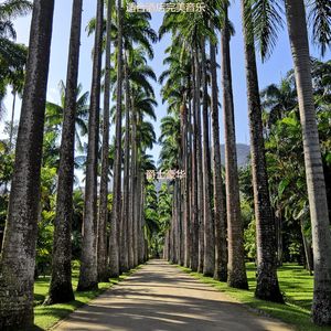 酒店容易点爵士