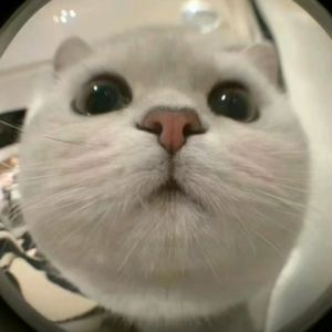 乌云