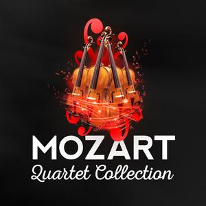 String Quartet No. 15 in D Minor, K. 421: IV. Allegretto ma non troppo