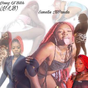 Y.L.B(Young Lit *****)