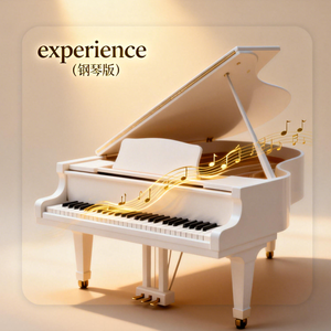 experience