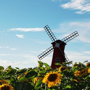 总有一天你会出现在我身边